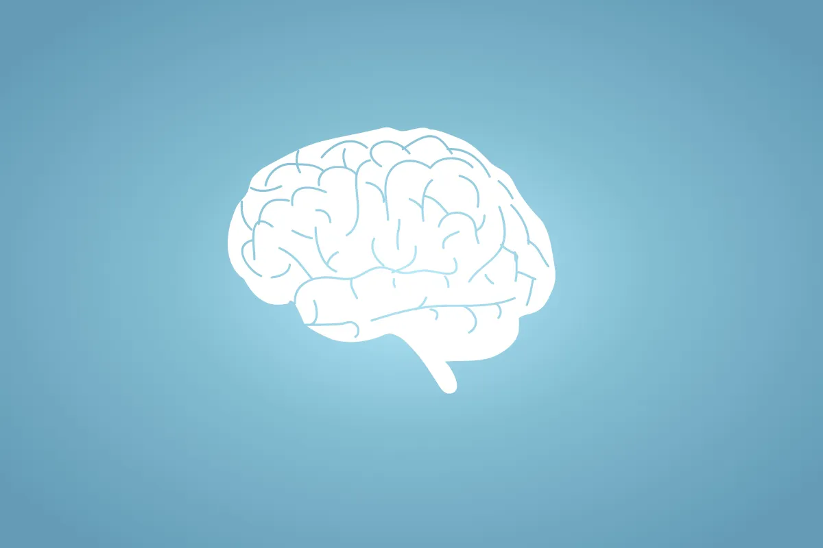 Neurovascular
