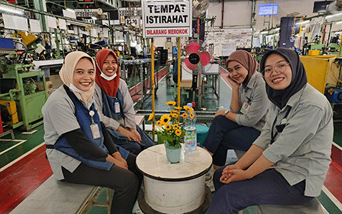 PT.HI-LEX PARTS INDONESIA (INDONESIA)