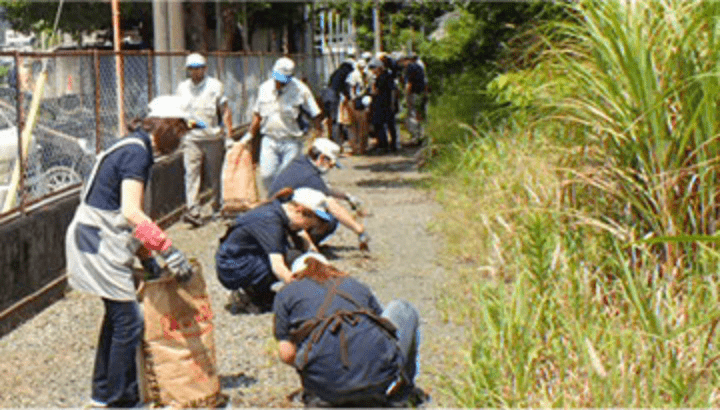 Lake Hamana Cleanup Campaign